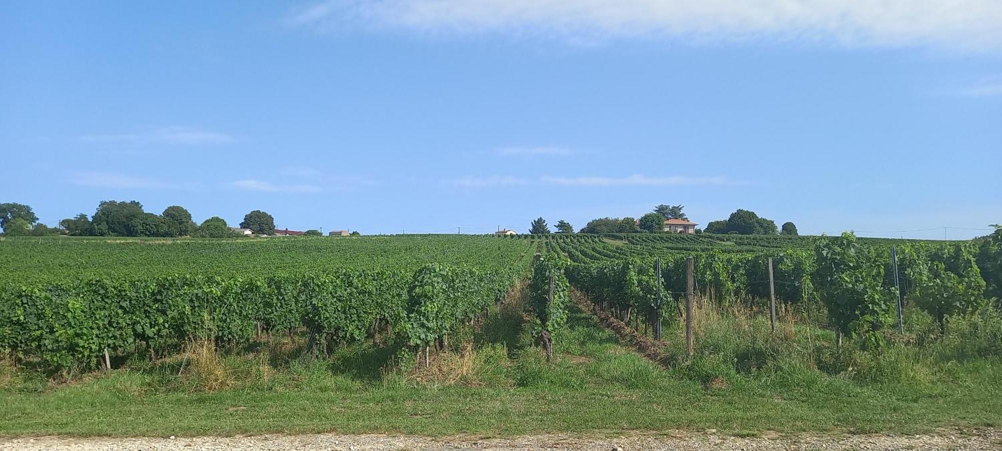 L'Hermitage D'Alienor Lugon et l’Ile du Carney Kültér fotó