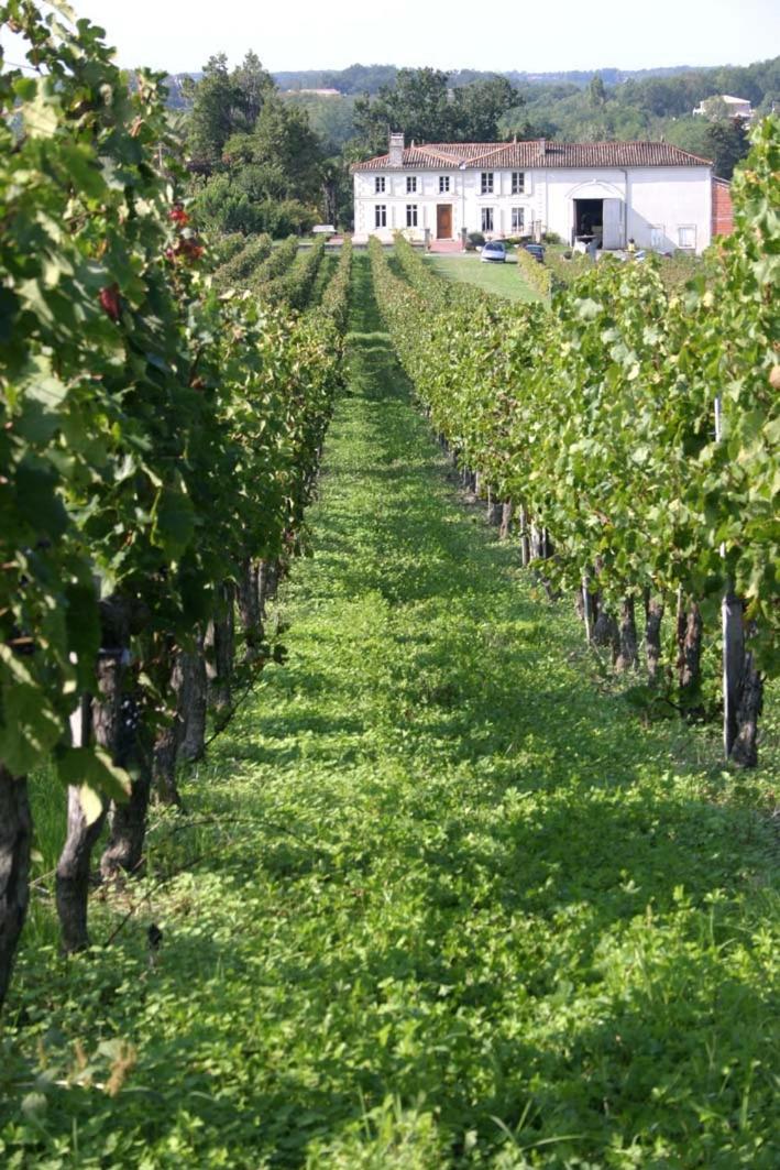 L'Hermitage D'Alienor Lugon et l’Ile du Carney Kültér fotó